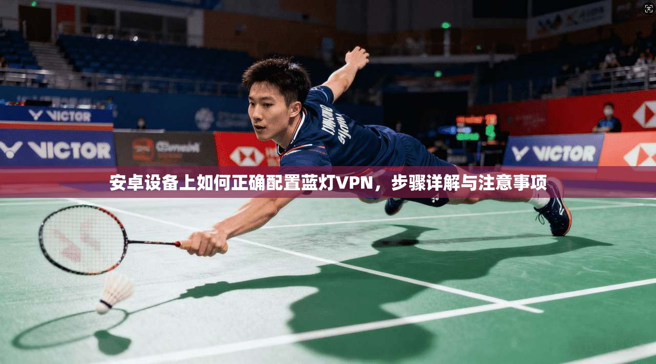安卓设备上如何正确配置蓝灯VPN，步骤详解与注意事项