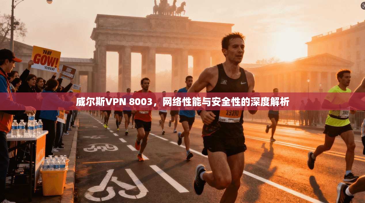 威尔斯VPN 8003，网络性能与安全性的深度解析
