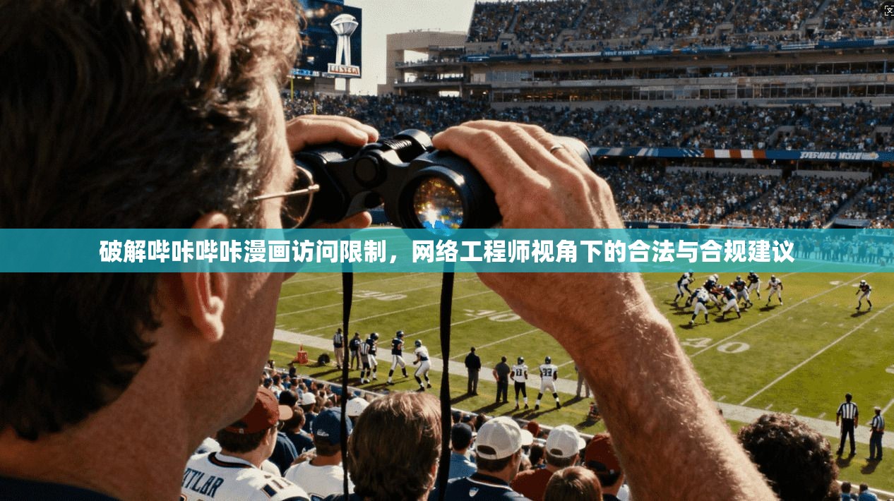 破解哔咔哔咔漫画访问限制,网络工程师视角下的合法与合规建议