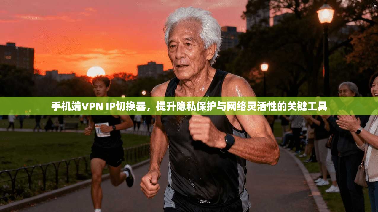 手机端VPN IP切换器,提升隐私保护与网络灵活性的关键工具