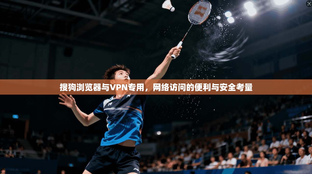搜狗浏览器与VPN专用，网络访问的便利与安全考量
