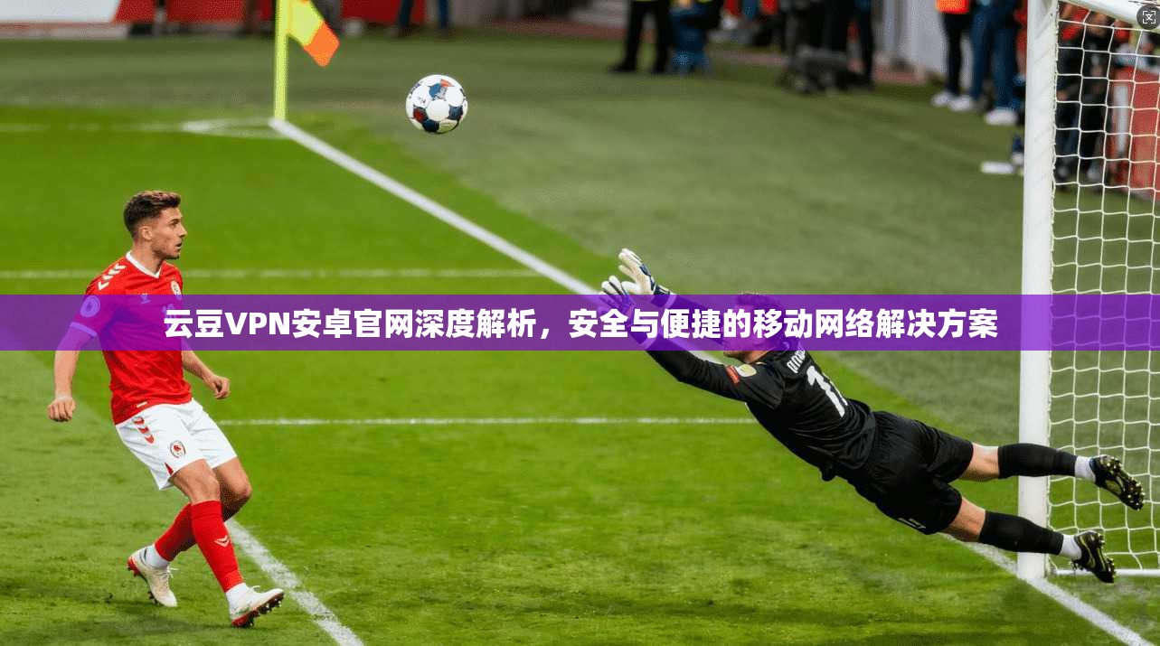 云豆VPN安卓官网深度解析，安全与便捷的移动网络解决方案