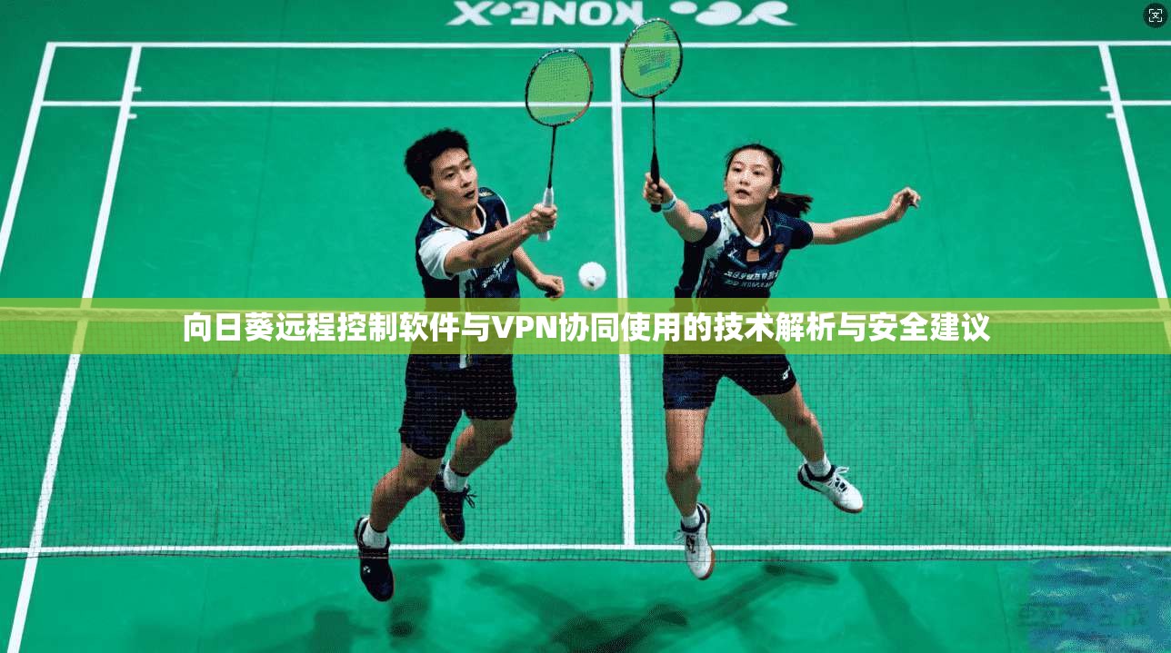 向日葵远程控制软件与VPN协同使用的技术解析与安全建议