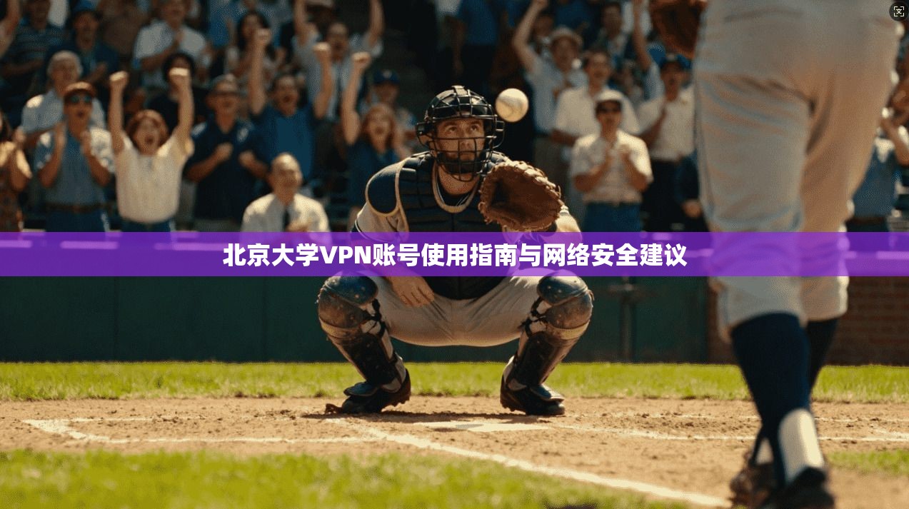 北京大学VPN账号使用指南与网络安全建议