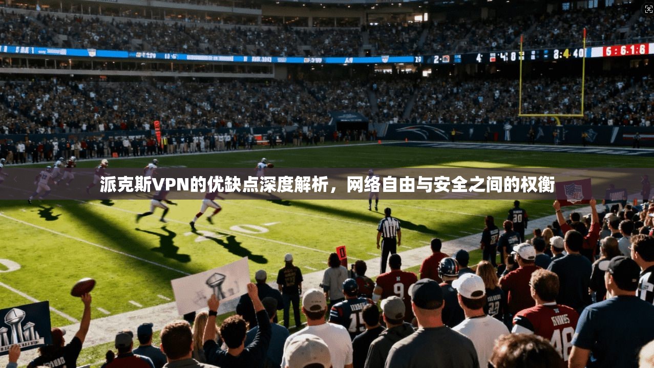 派克斯VPN的优缺点深度解析，网络自由与安全之间的权衡