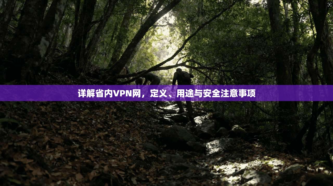 详解省内VPN网，定义、用途与安全注意事项