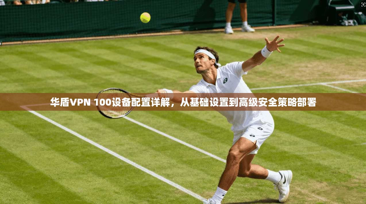 华盾VPN 100设备配置详解,从基础设置到高级安全策略部署