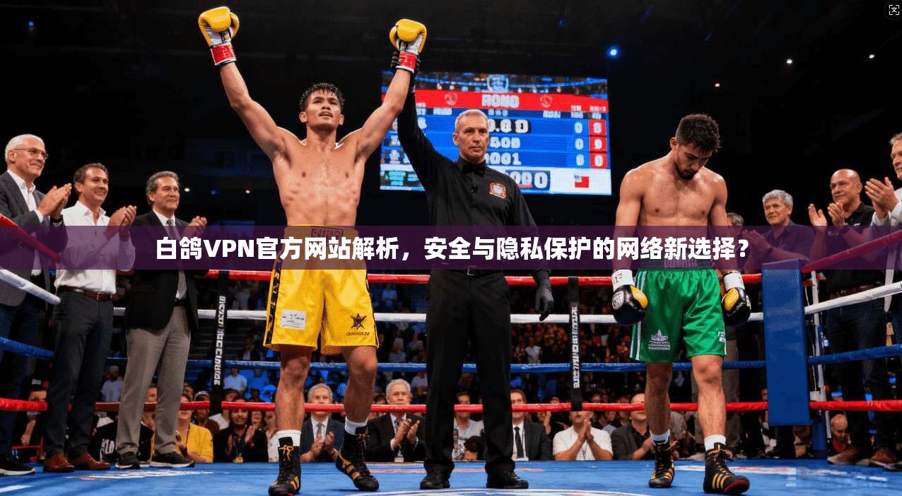 白鸽VPN官方网站解析，安全与隐私保护的网络新选择？