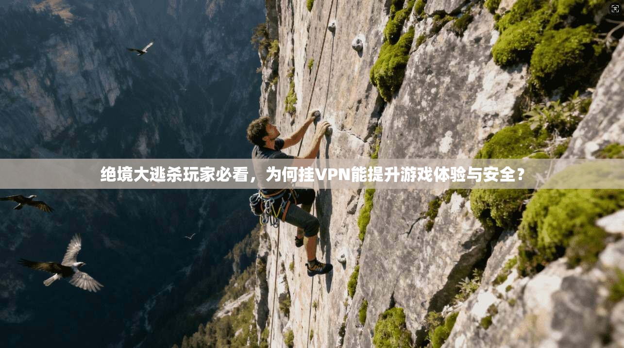 绝境大逃杀玩家必看,为何挂VPN能提升游戏体验与安全?