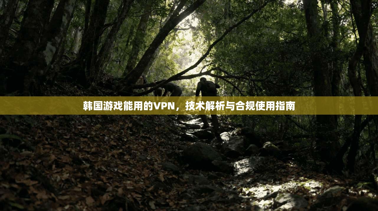 韩国游戏能用的VPN，技术解析与合规使用指南