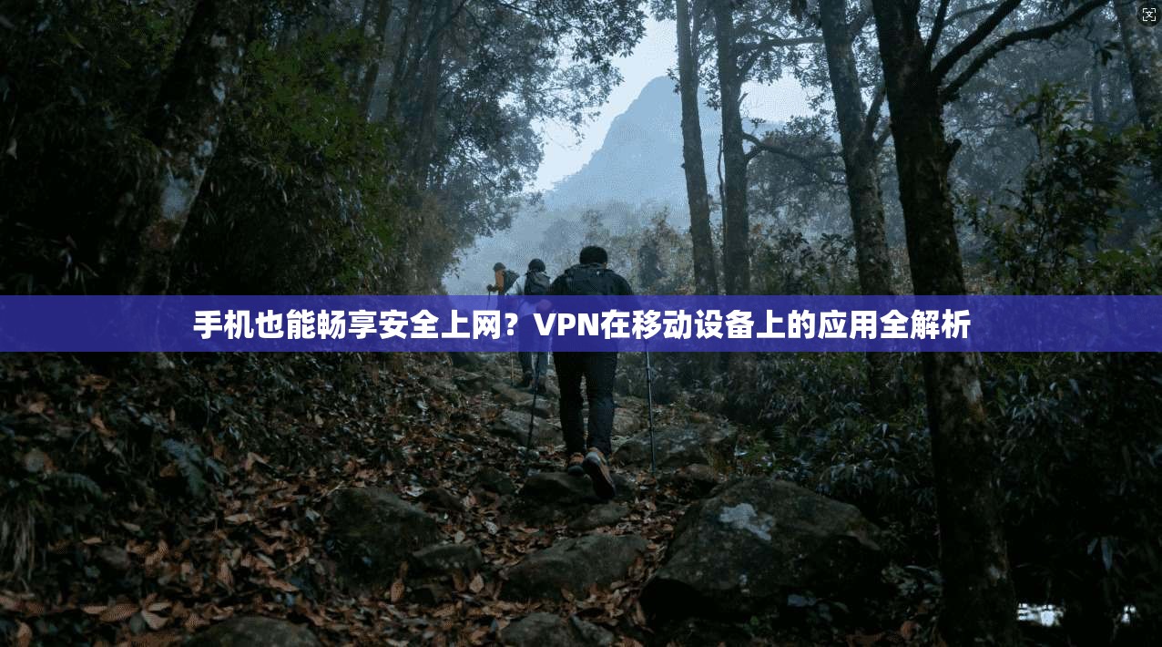 手机也能畅享安全上网？VPN在移动设备上的应用全解析