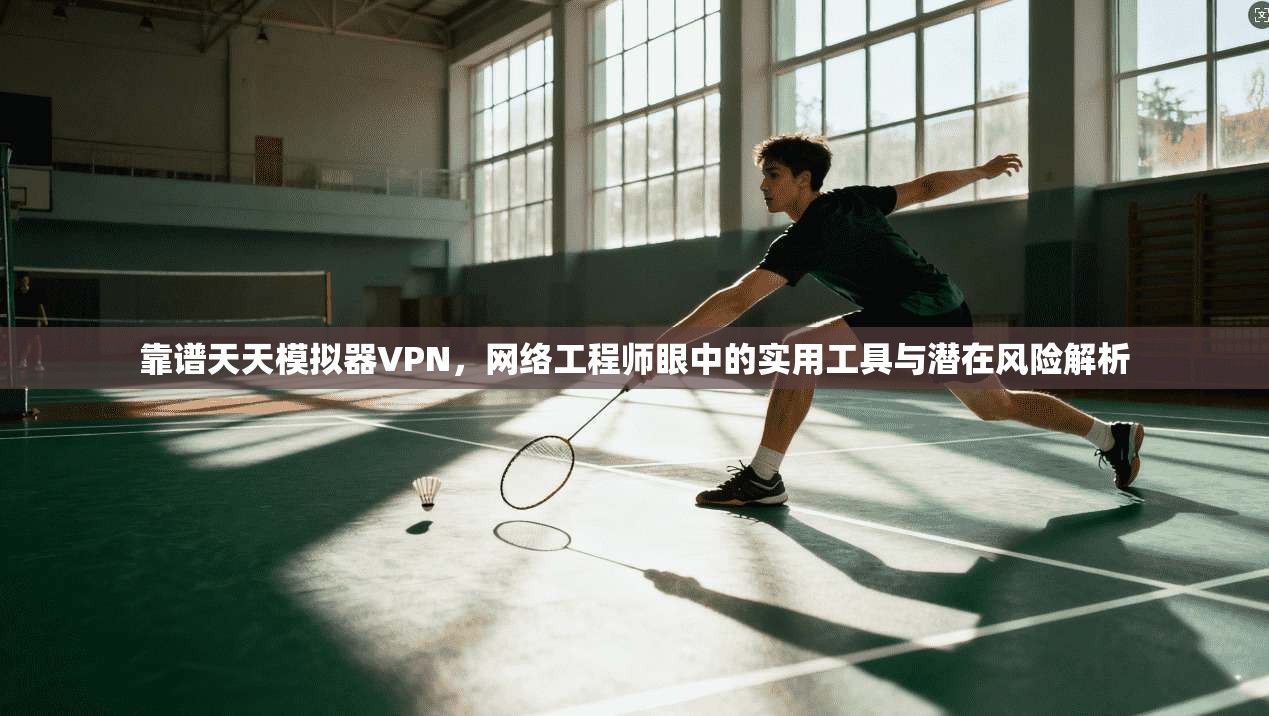 靠谱天天模拟器VPN，网络工程师眼中的实用工具与潜在风险解析