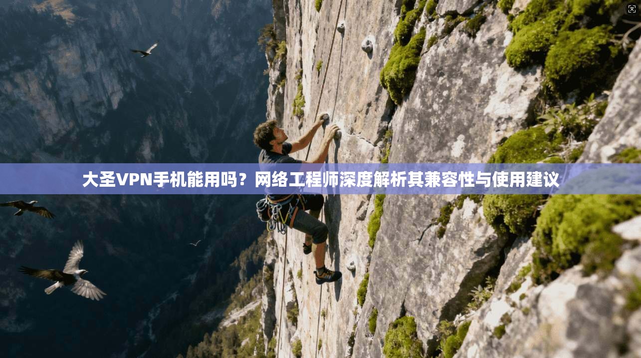 大圣VPN手机能用吗？网络工程师深度解析其兼容性与使用建议