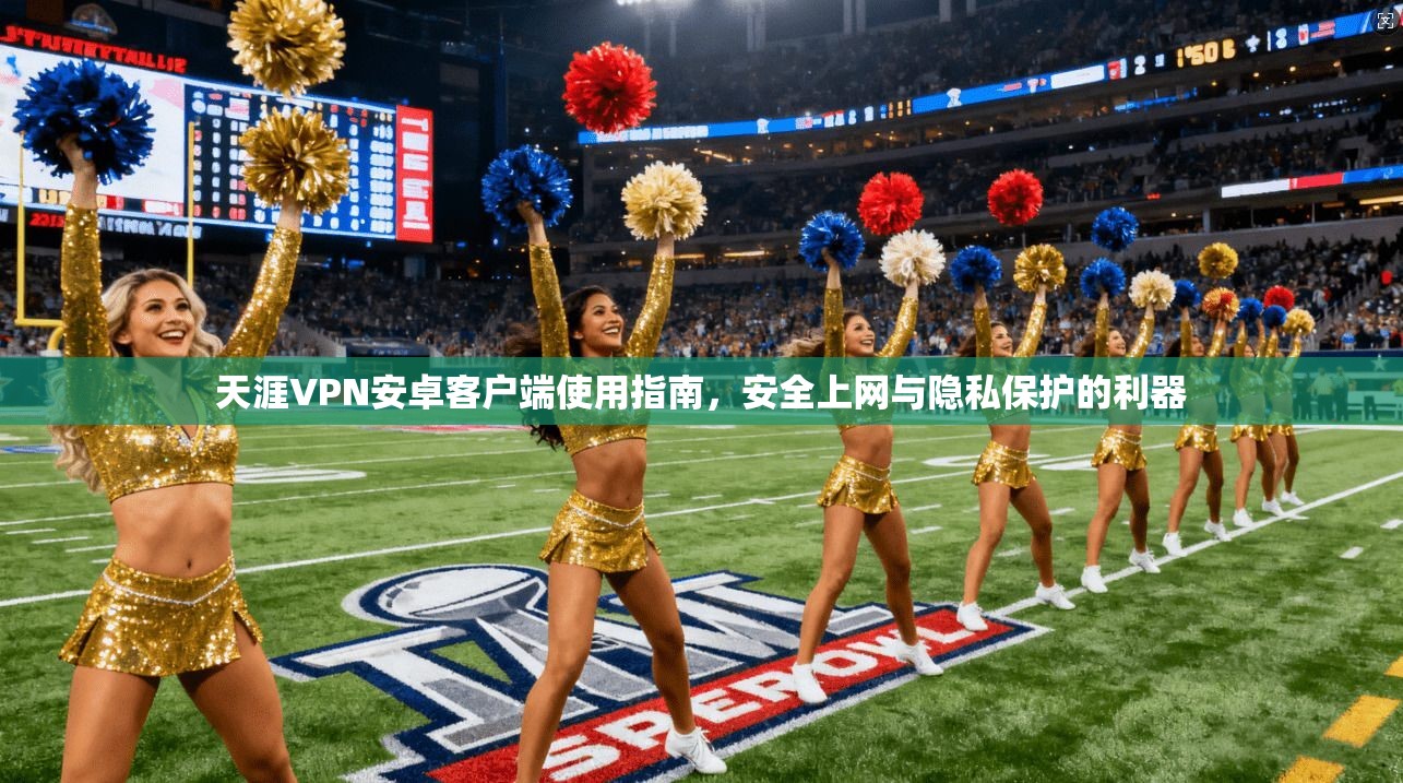 天涯VPN安卓客户端使用指南,安全上网与隐私保护的利器