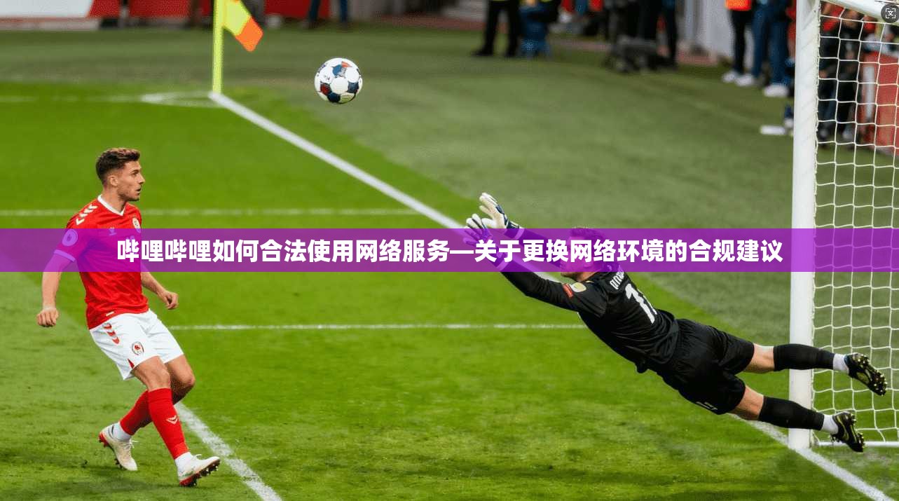 哔哩哔哩如何合法使用网络服务—关于更换网络环境的合规建议
