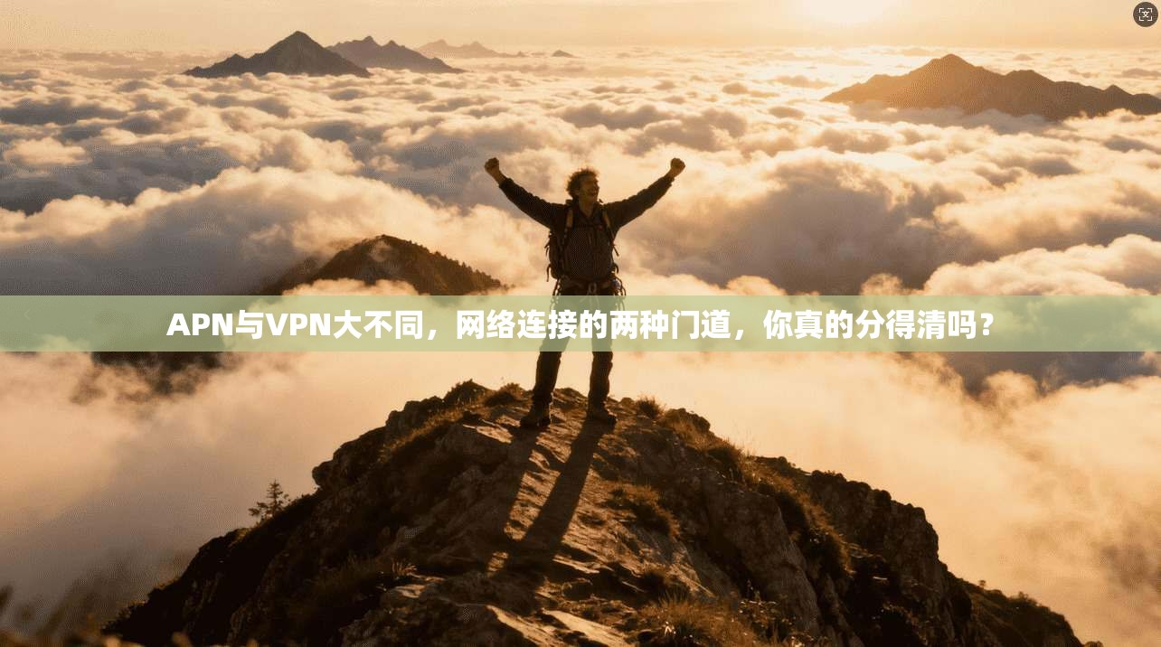 APN与VPN大不同，网络连接的两种门道，你真的分得清吗？