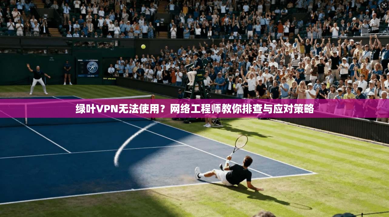 绿叶VPN无法使用?网络工程师教你排查与应对策略