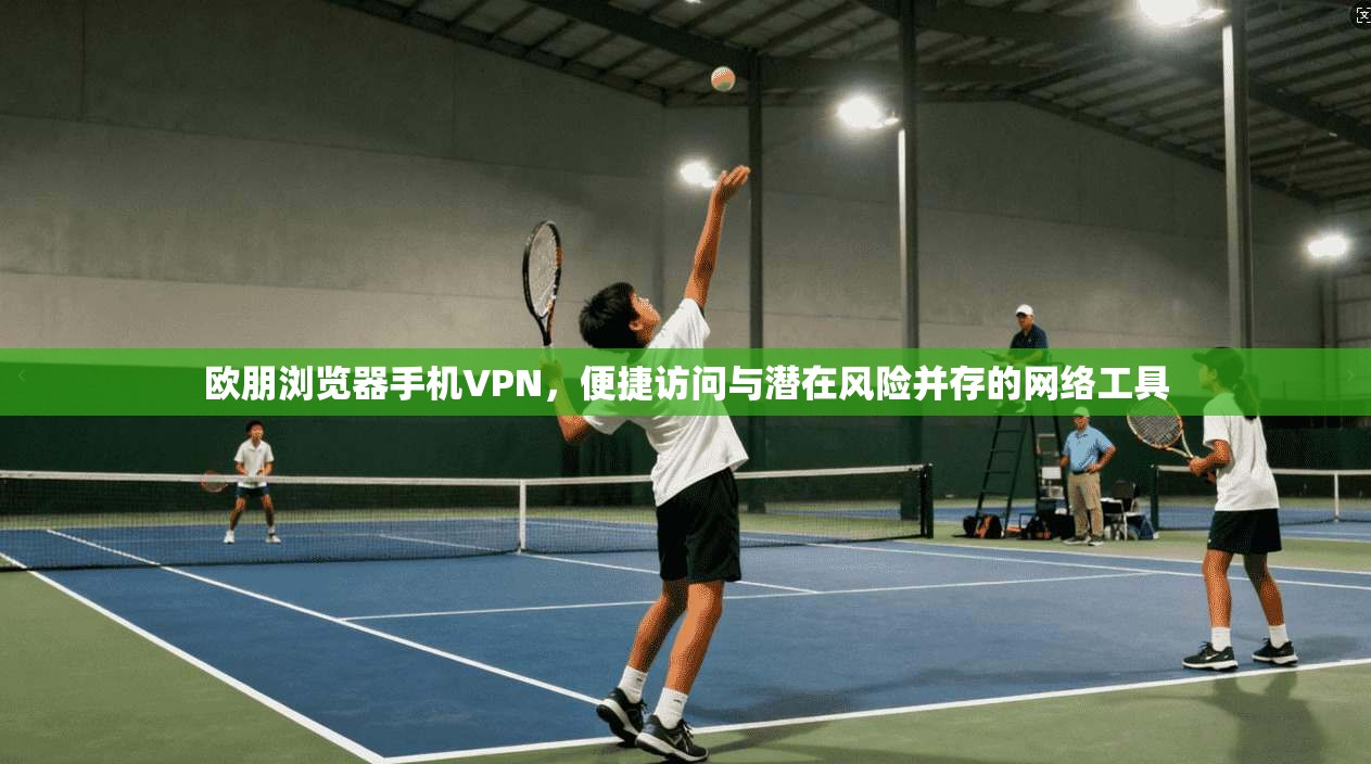 欧朋浏览器手机VPN，便捷访问与潜在风险并存的网络工具