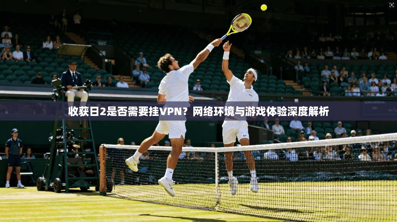 收获日2是否需要挂VPN?网络环境与游戏体验深度解析