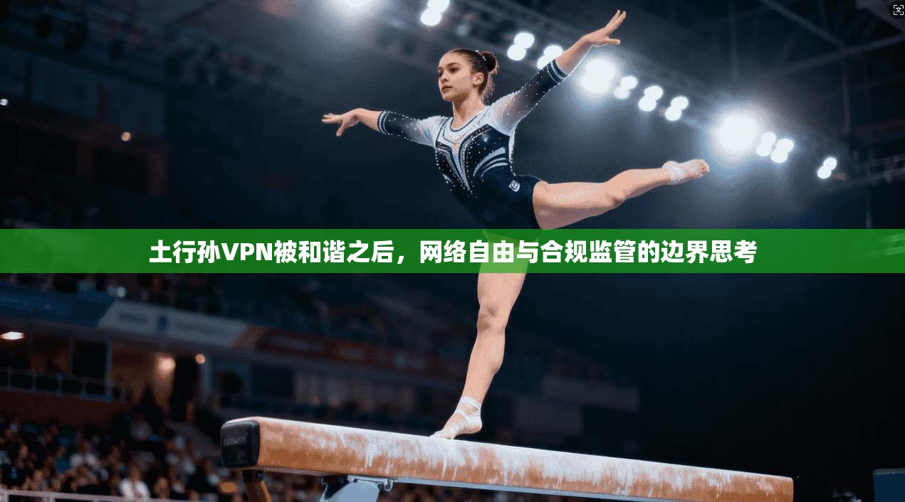 土行孙VPN被和谐之后，网络自由与合规监管的边界思考