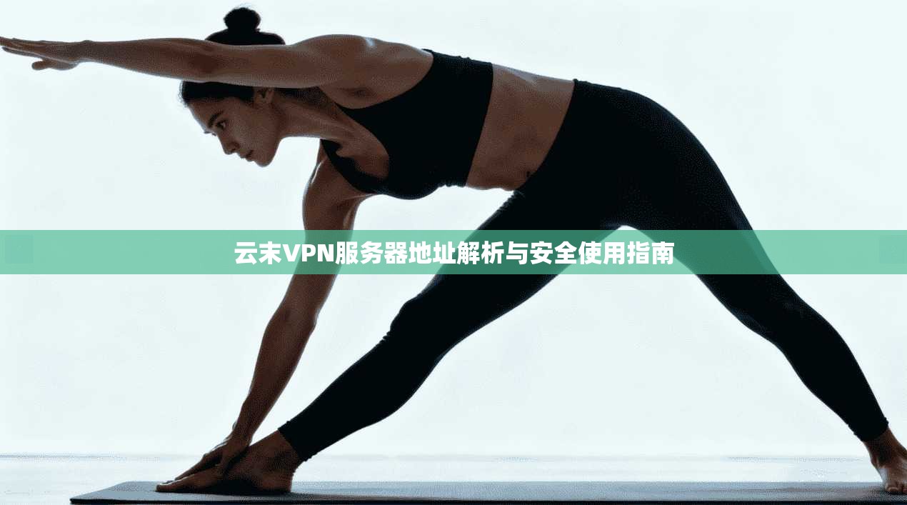 云末VPN服务器地址解析与安全使用指南