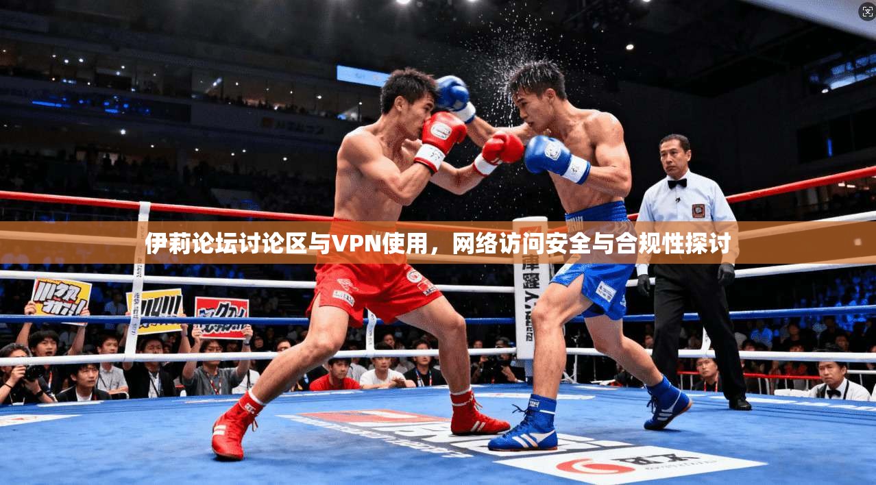 伊莉论坛讨论区与VPN使用，网络访问安全与合规性探讨