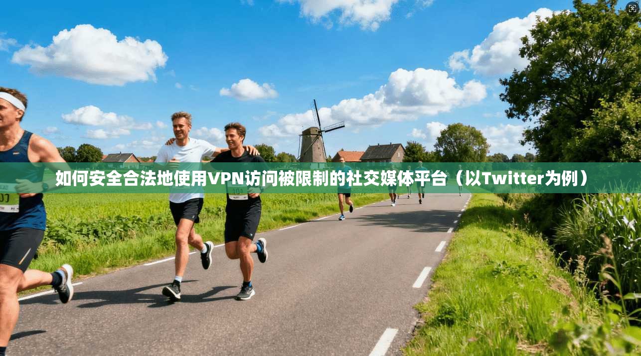 如何安全合法地使用VPN访问被限制的社交媒体平台（以Twitter为例）