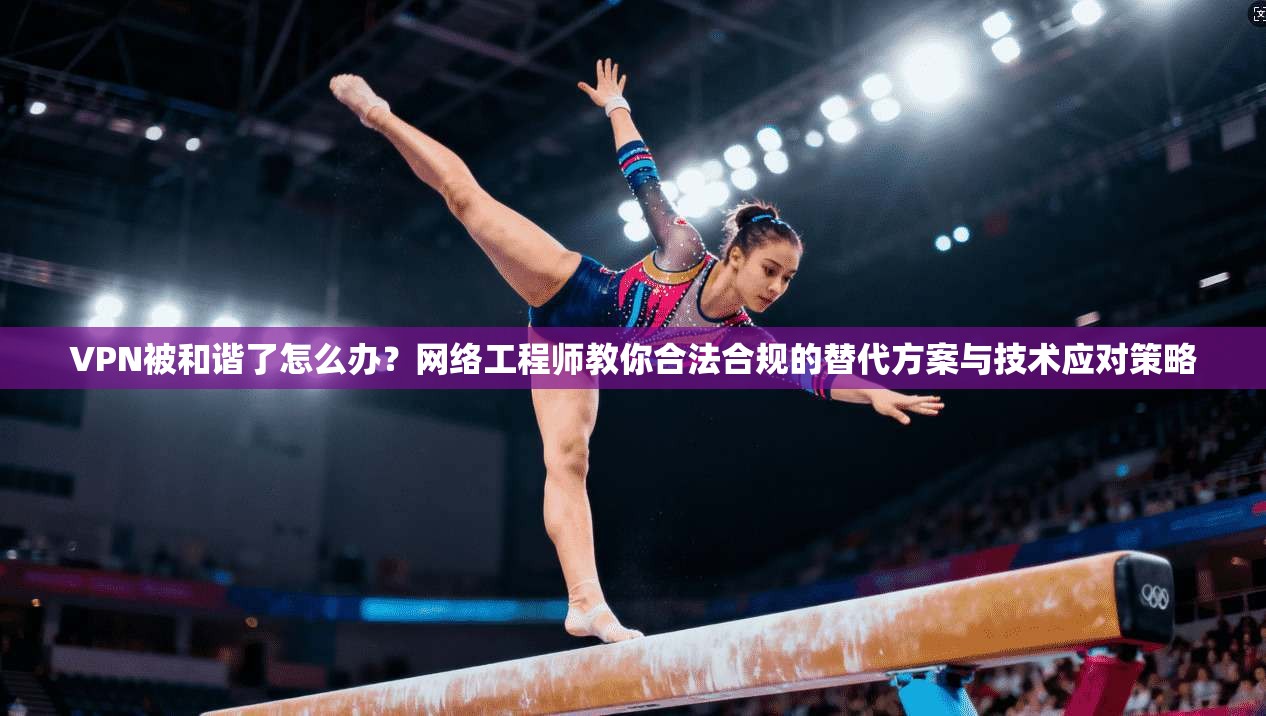 VPN被和谐了怎么办？网络工程师教你合法合规的替代方案与技术应对策略