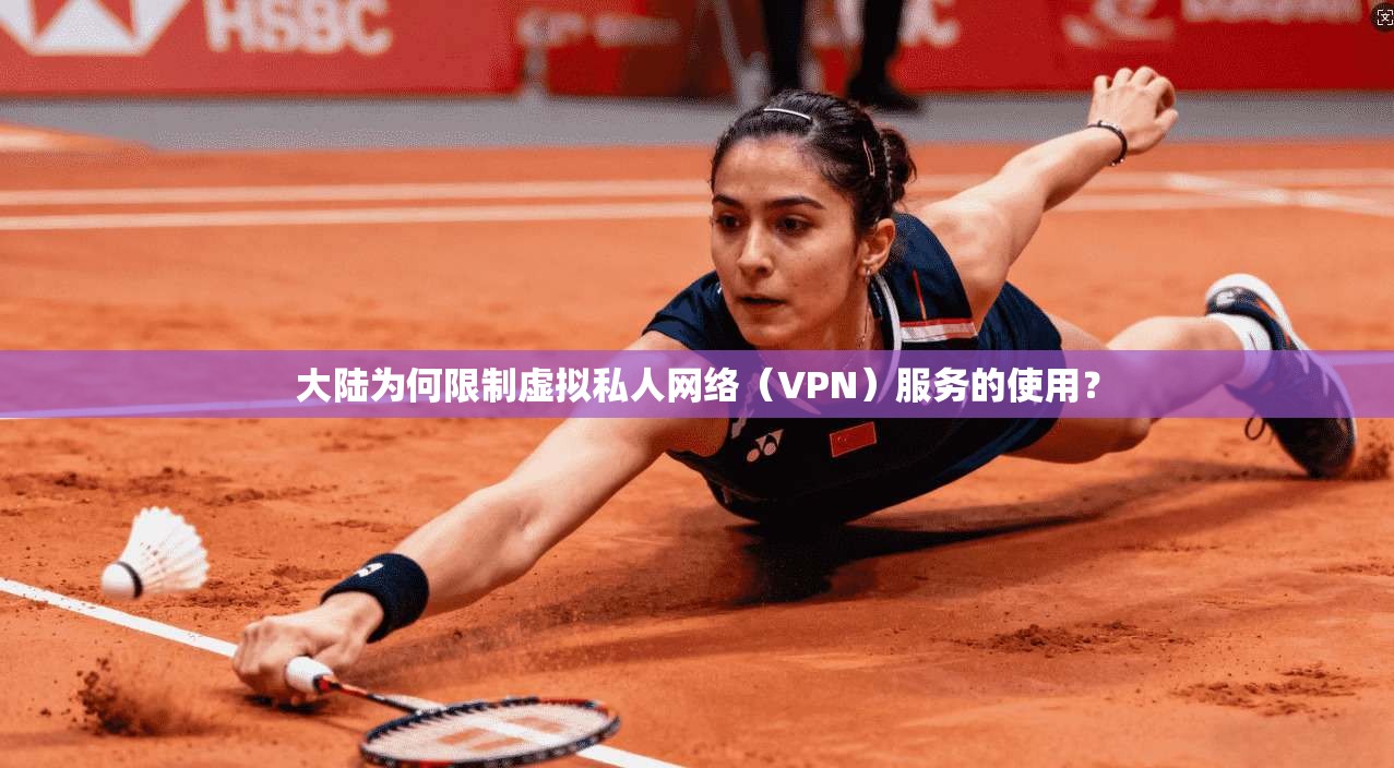 大陆为何限制虚拟私人网络（VPN）服务的使用？