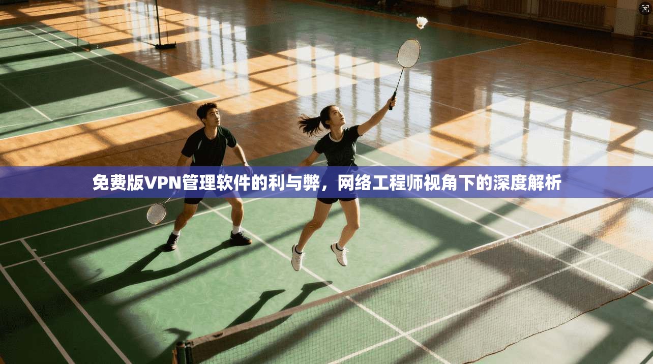 免费版VPN管理软件的利与弊，网络工程师视角下的深度解析
