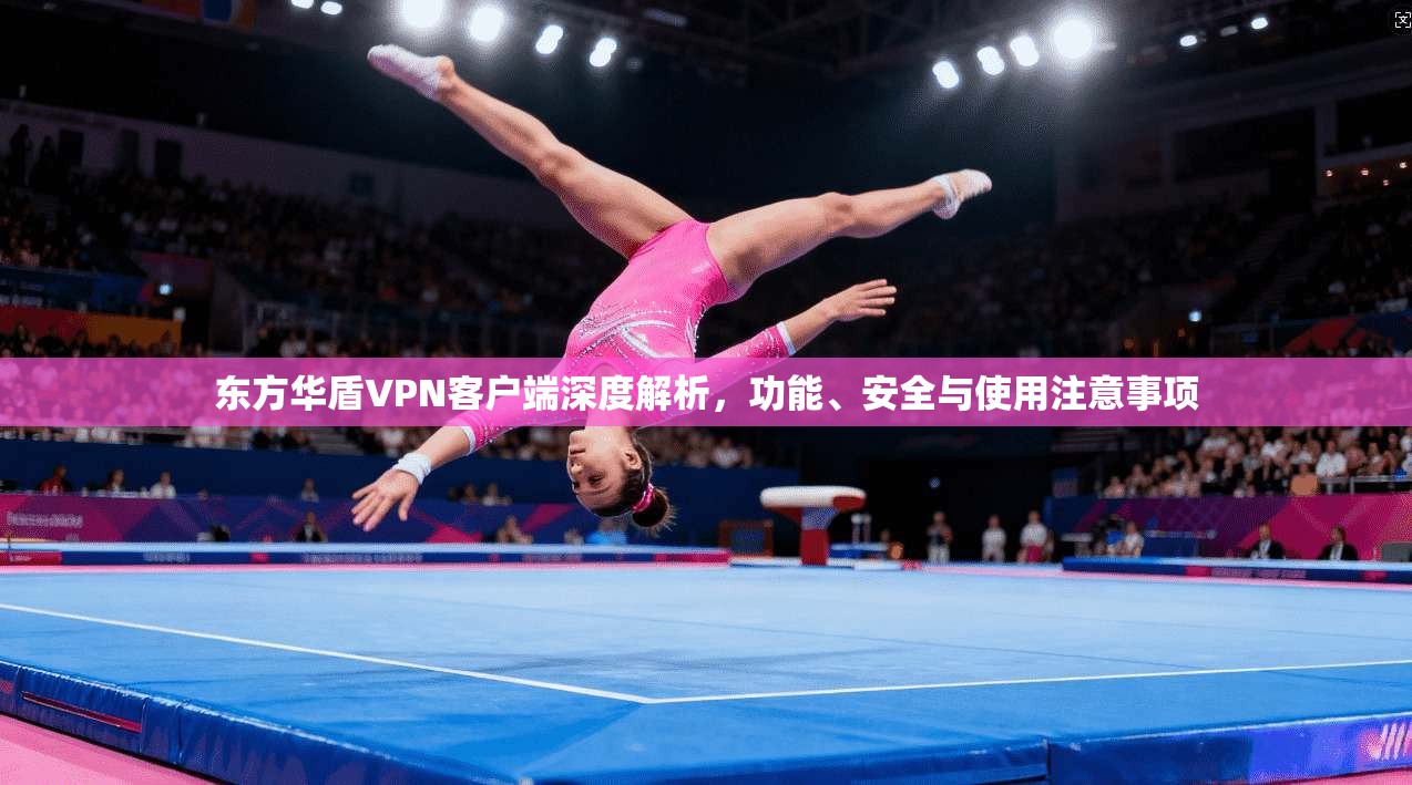 东方华盾VPN客户端深度解析，功能、安全与使用注意事项