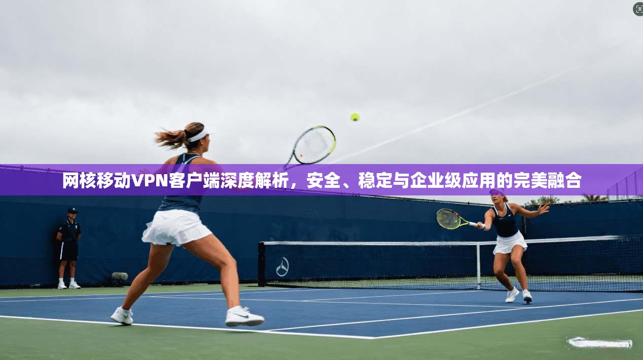 网核移动VPN客户端深度解析，安全、稳定与企业级应用的完美融合