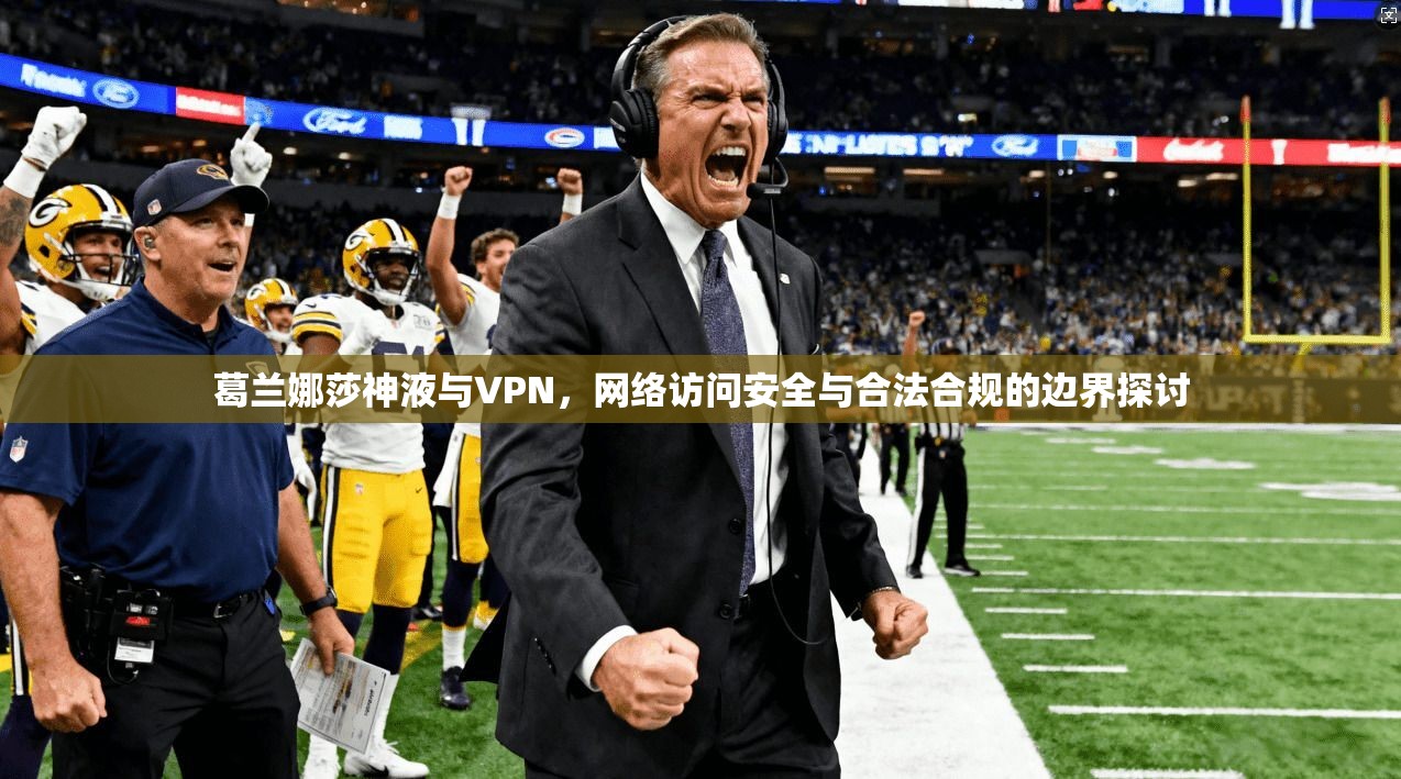 葛兰娜莎神液与VPN,网络访问安全与合法合规的边界探讨