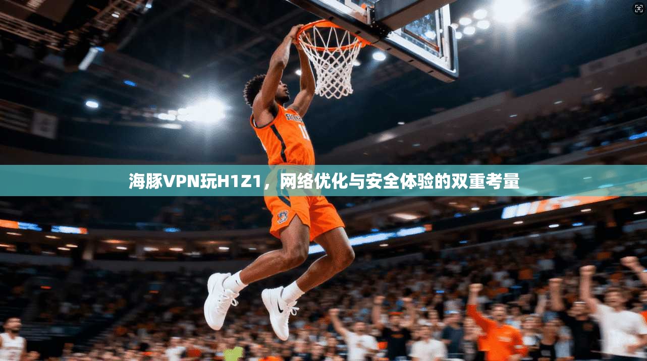 海豚VPN玩H1Z1,网络优化与安全体验的双重考量