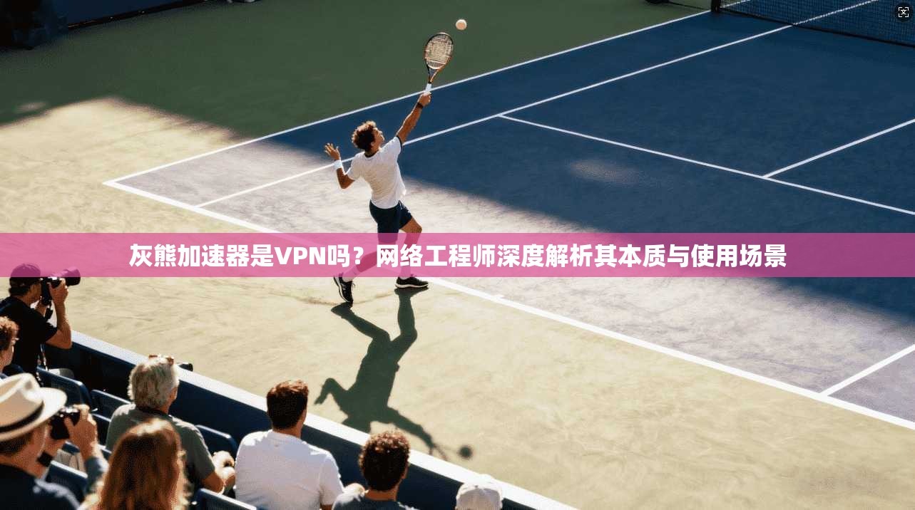 灰熊加速器是VPN吗?网络工程师深度解析其本质与使用场景