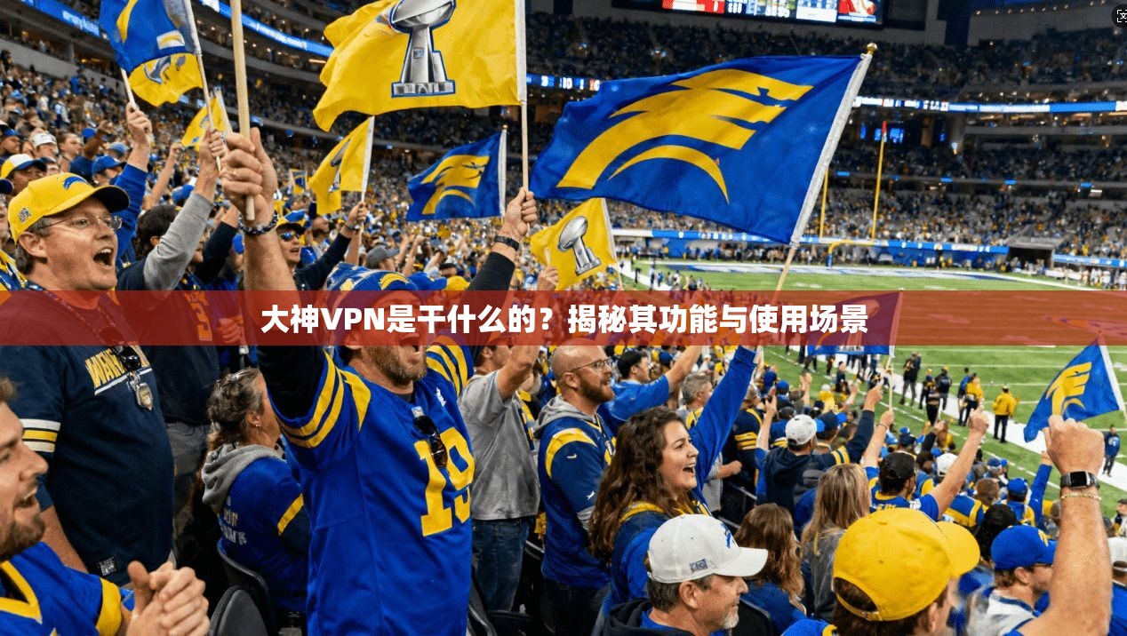 大神VPN是干什么的？揭秘其功能与使用场景