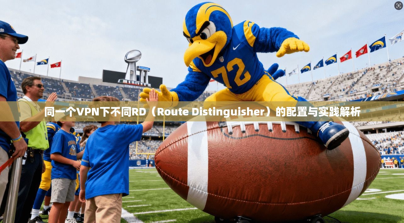 同一个VPN下不同RD(Route Distinguisher)的配置与实践解析
