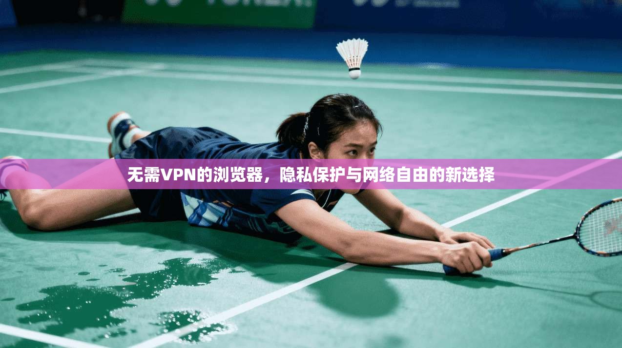 无需VPN的浏览器,隐私保护与网络自由的新选择