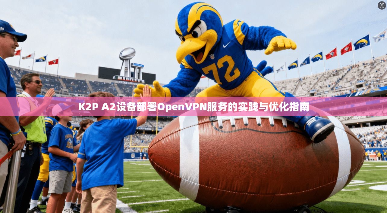 K2P A2设备部署OpenVPN服务的实践与优化指南