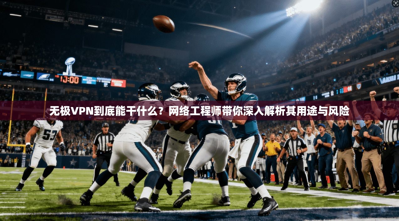 无极VPN到底能干什么?网络工程师带你深入解析其用途与风险