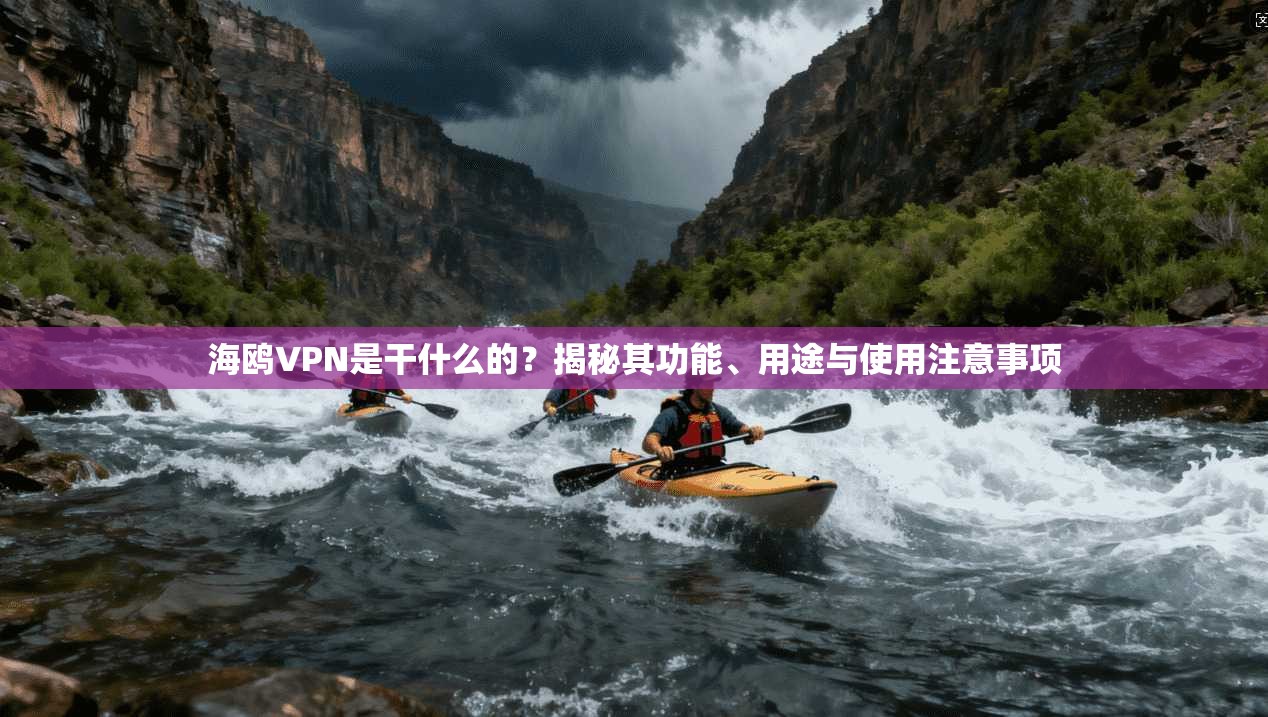 海鸥VPN是干什么的？揭秘其功能、用途与使用注意事项
