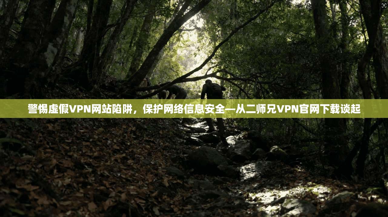 警惕虚假VPN网站陷阱,保护网络信息安全—从二师兄VPN官网下载谈起