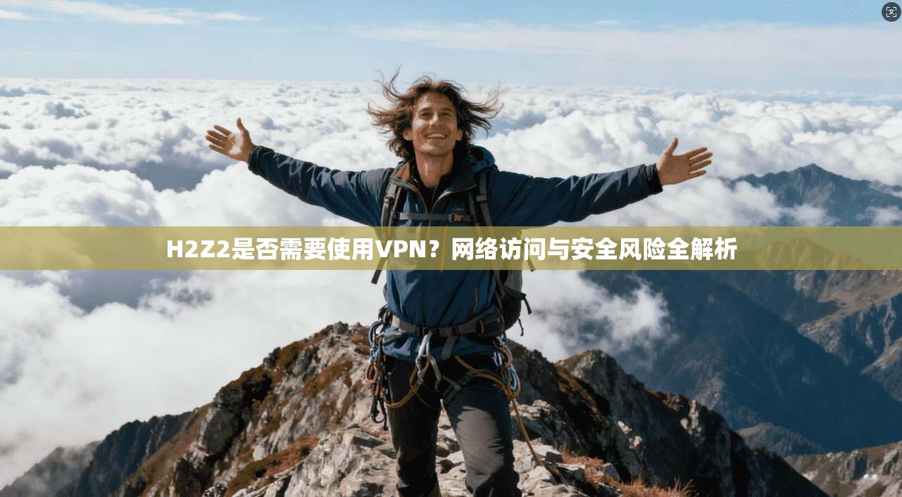 H2Z2是否需要使用VPN？网络访问与安全风险全解析