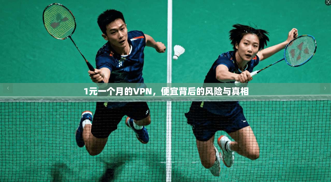 1元一个月的VPN,便宜背后的风险与真相