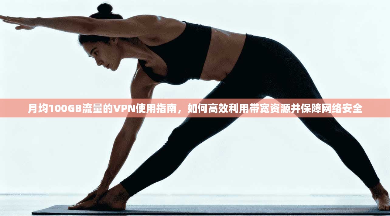 月均100GB流量的VPN使用指南，如何高效利用带宽资源并保障网络安全