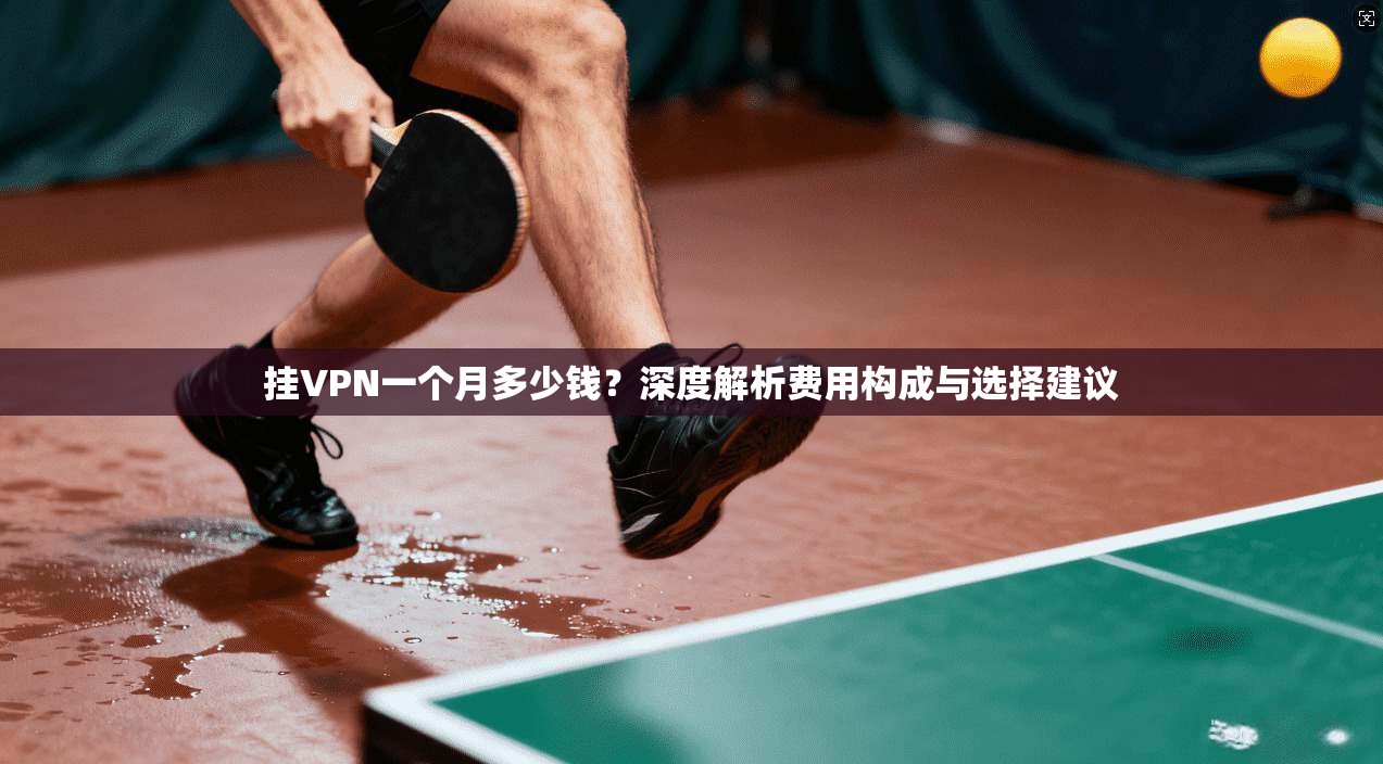 挂VPN一个月多少钱?深度解析费用构成与选择建议