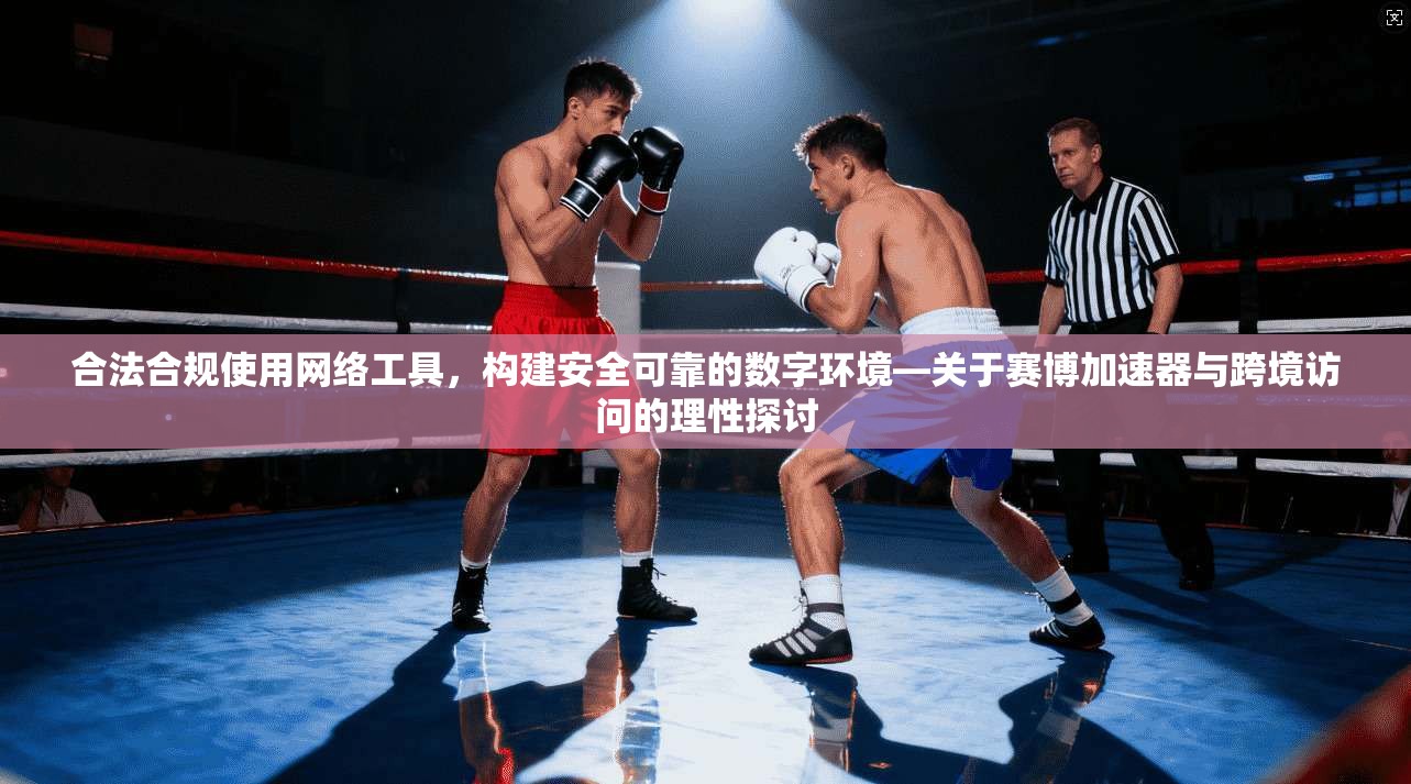 合法合规使用网络工具,构建安全可靠的数字环境—关于赛博加速器与跨境访问的理性探讨