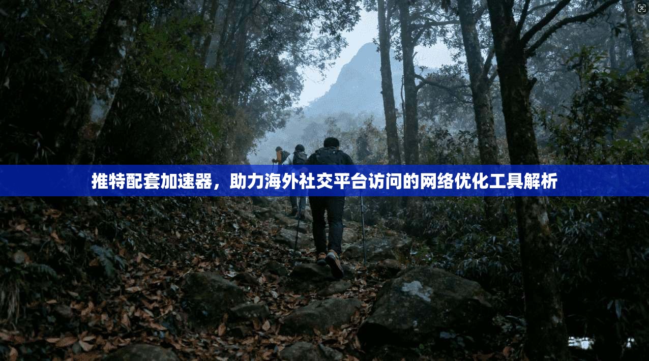 推特配套加速器，助力海外社交平台访问的网络优化工具解析