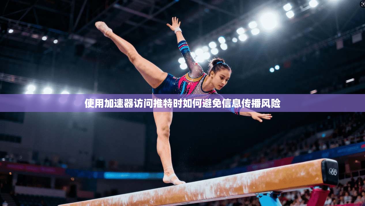 使用加速器访问推特时如何避免信息传播风险