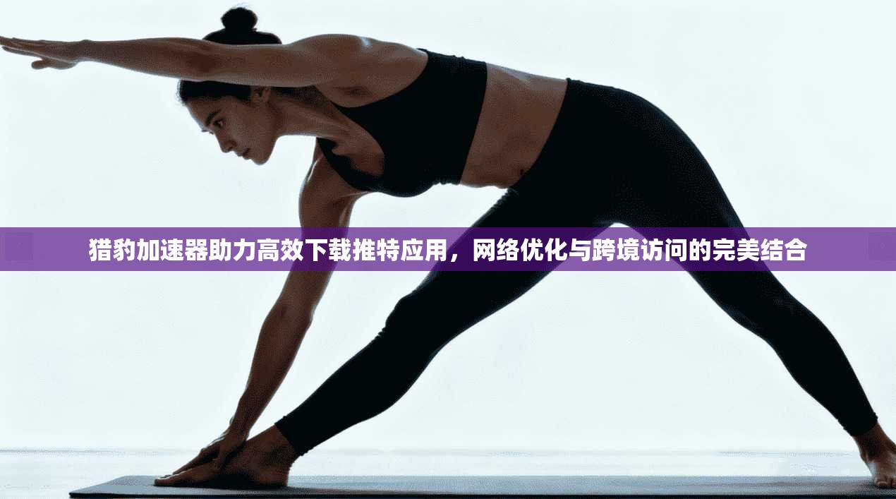 猎豹加速器助力高效下载推特应用，网络优化与跨境访问的完美结合